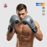 Boxing Gloves-omika International
